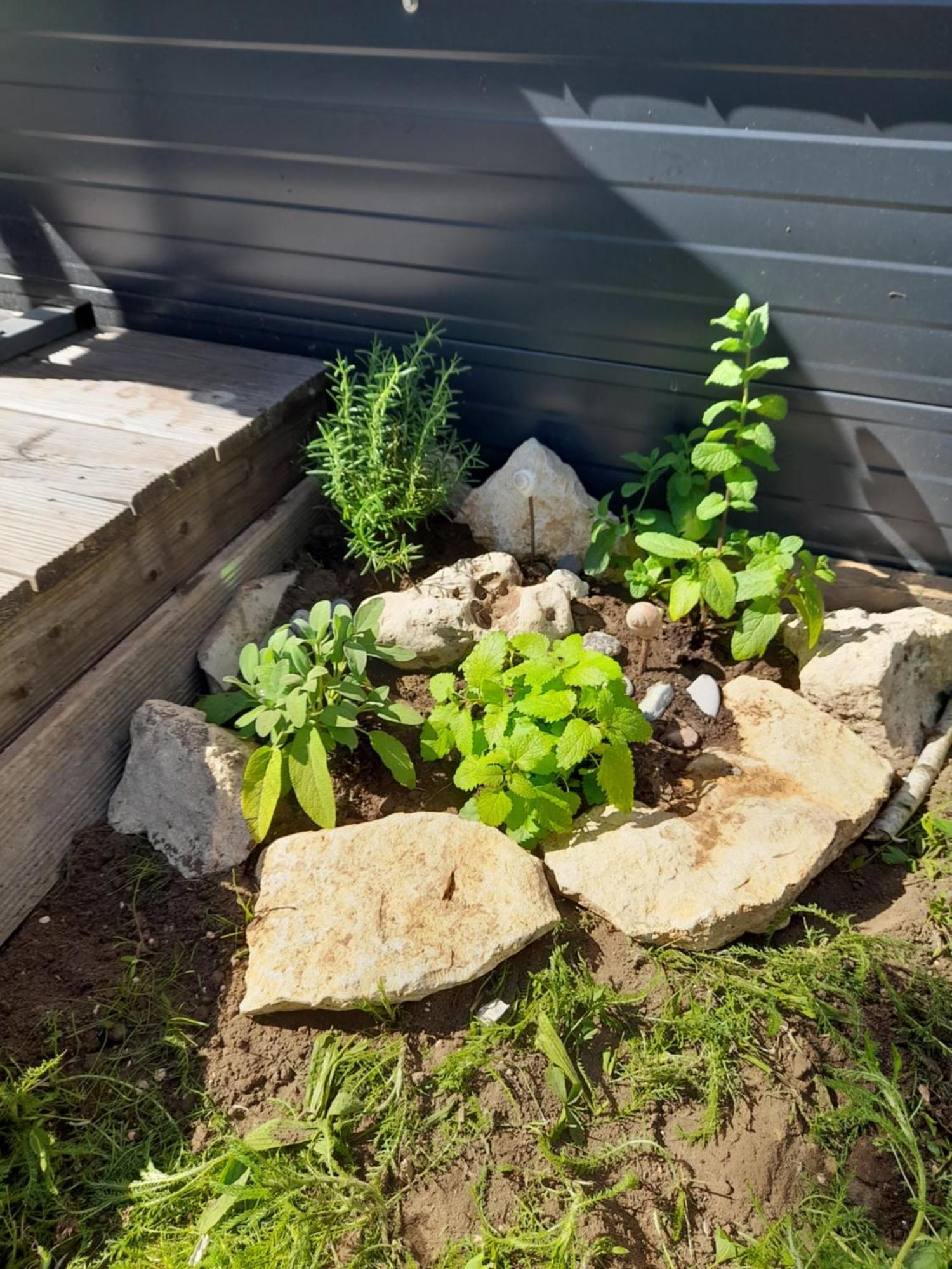 Willa Tinyhouse Wemding Zewnętrze zdjęcie